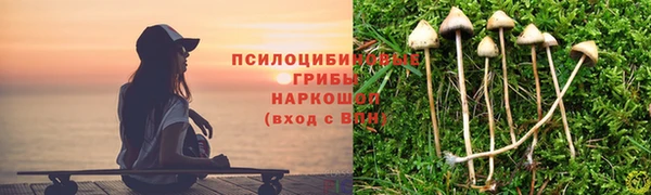 гидропоника Абдулино